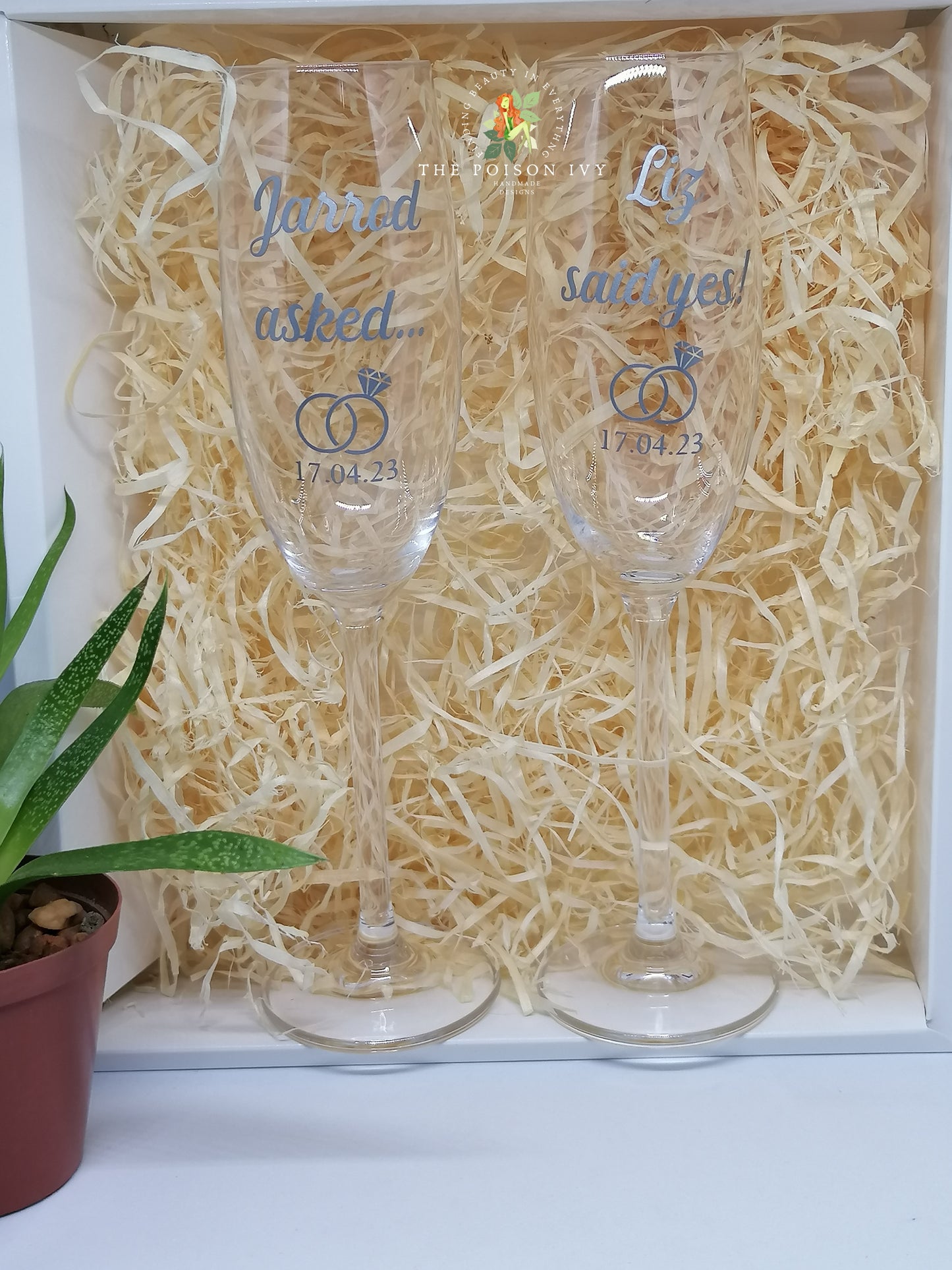 Clear White Gift Boxes